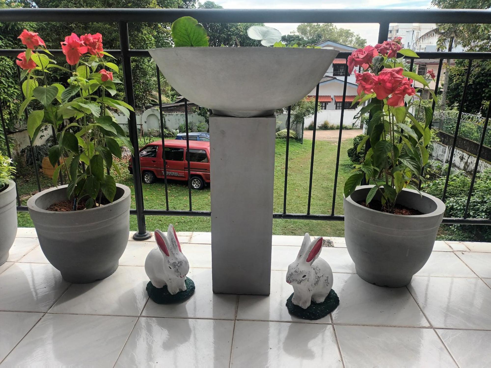 Lovely Flowers In Mount Lavinia Dehiwala-Mount Lavinia Εξωτερικό φωτογραφία