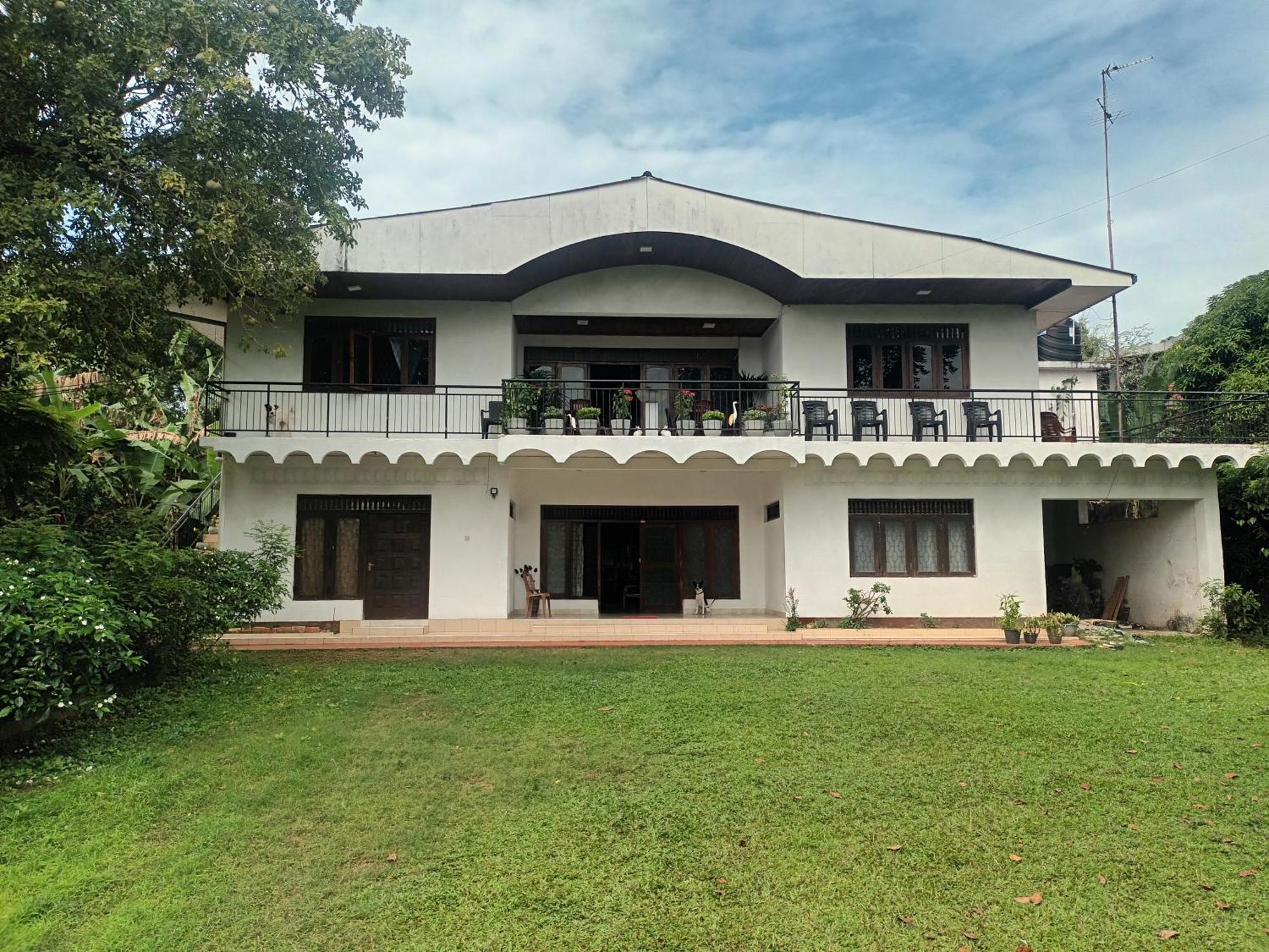 Lovely Flowers In Mount Lavinia Dehiwala-Mount Lavinia Εξωτερικό φωτογραφία
