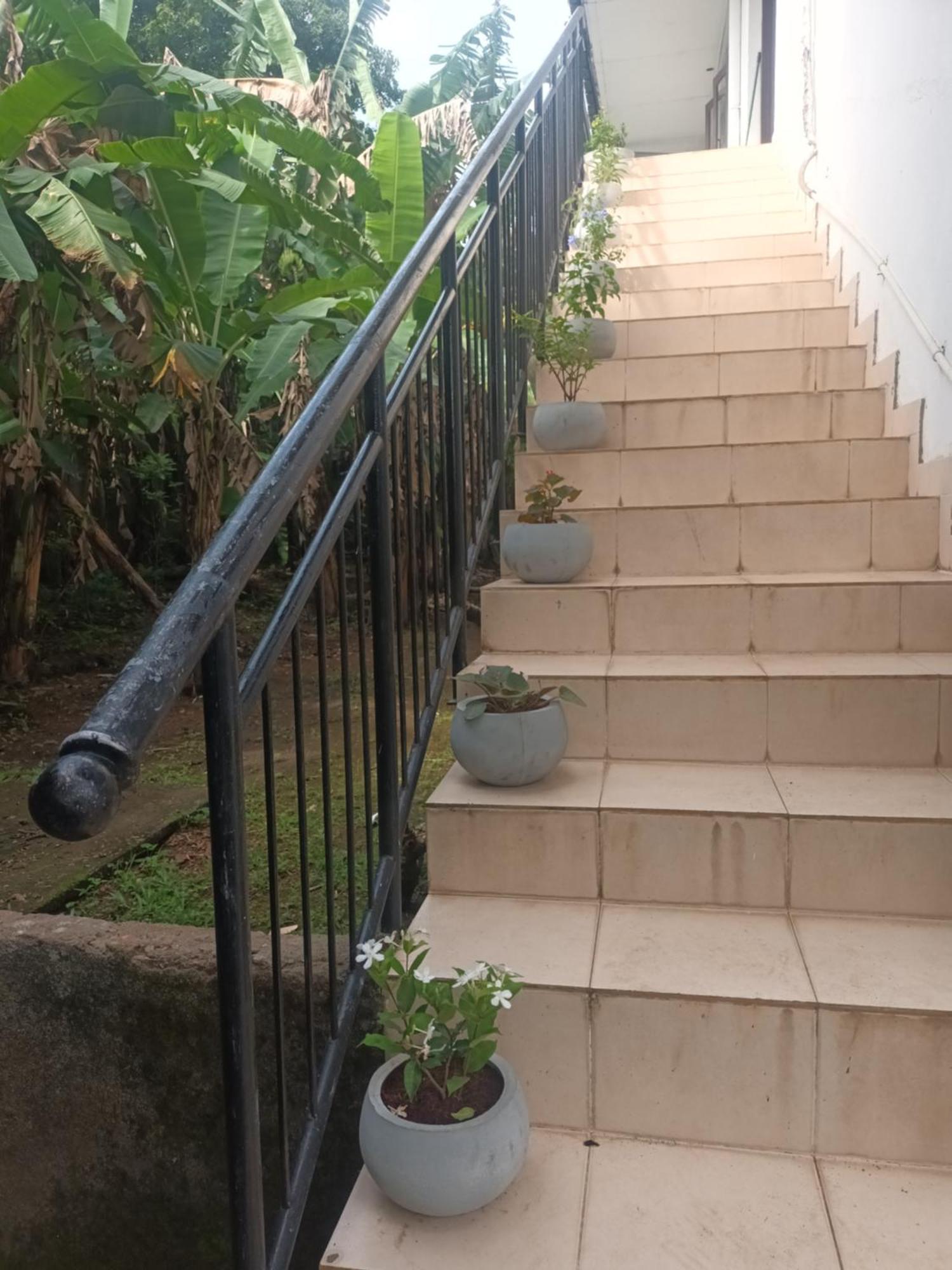 Lovely Flowers In Mount Lavinia Dehiwala-Mount Lavinia Εξωτερικό φωτογραφία