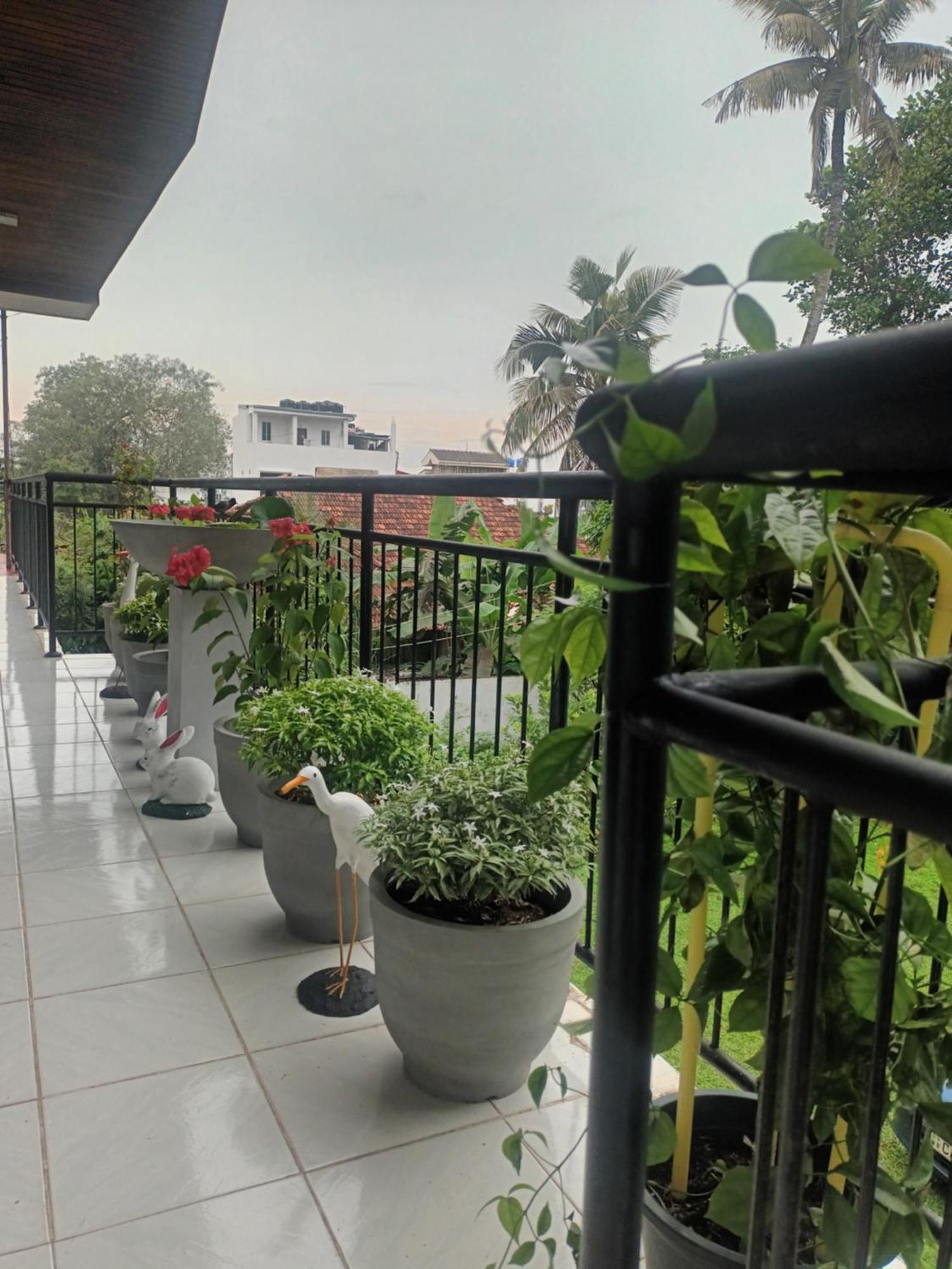 Lovely Flowers In Mount Lavinia Dehiwala-Mount Lavinia Εξωτερικό φωτογραφία